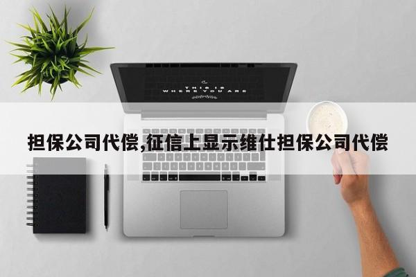 担保公司代偿,征信上显示维仕担保公司代偿